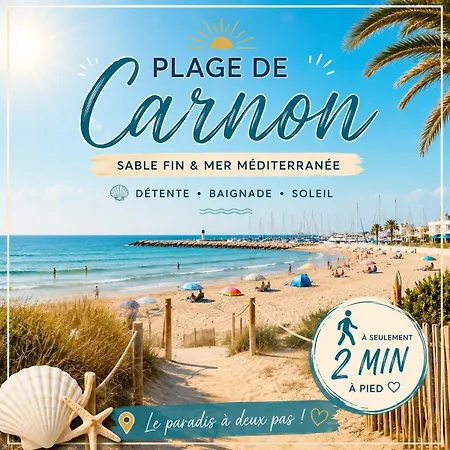 Perle Du Port Carnon Daire